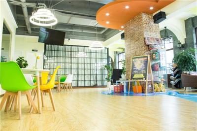 上德大象全國有多少家店？揭秘教育藝術領域的創業藍海與輝煌版圖