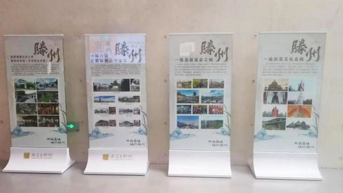 大哉乾元——滕州館藏精品全國(guó)巡展江蘇太倉(cāng)站啟幕，同期開展藝術(shù)舞蹈輔導(dǎo)服務(wù)